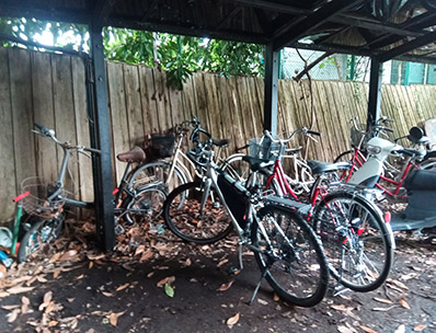 駐輪所の写真。自転車がとめてある。
