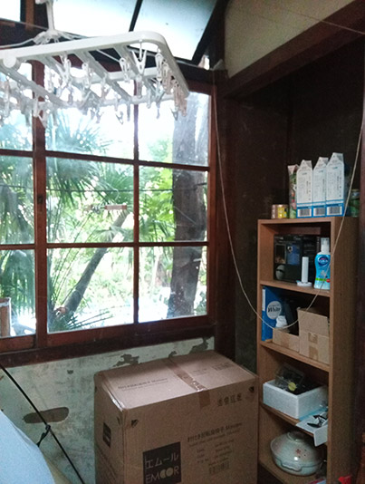 窓際の写真。外には樹木の緑が見える。